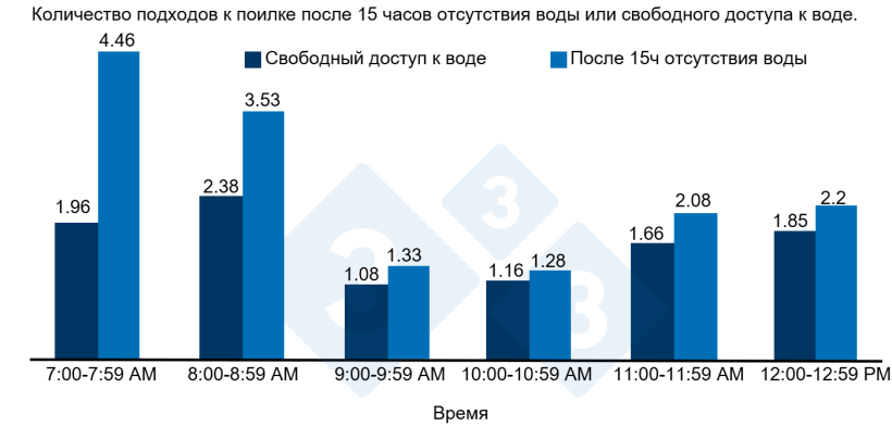Рисунок 1. Количество подходов к поилке после 15 часов отсутствия воды или свободного доступа к воде.
