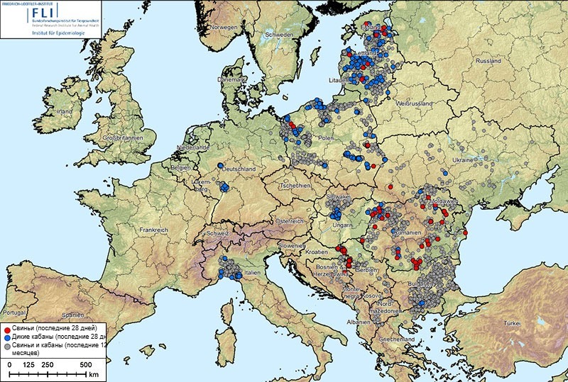 Рисунок 1. Вспышки африканской чумы свиней (генотип II) в Албании, странах Балтии, Боснии и Герцеговине, Болгарии, Германии, Греции, Италии, Косово, Хорватии, Молдове, Черногории, Северной Македонии, Польше, Румынии, Швеции, Сербии, Словакии, Чехии, Украине и Венгрии (с 20 августа 2024 г. по 20 августа 2025 г.). Источник данных: ADIS, TSN (по состоянию на 20 августа 2025 г., 8:40).

