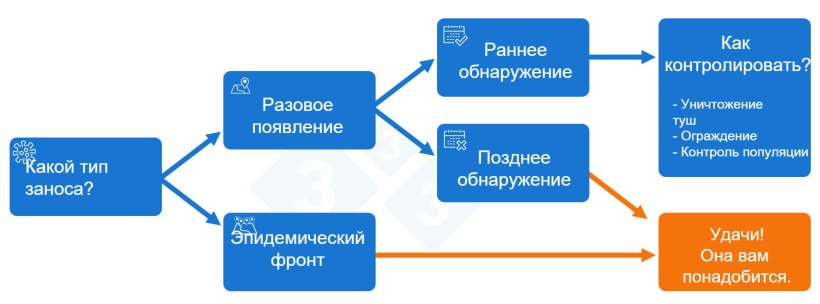 Рисунок 2. Дерево решений по реагированию на появление африканской чумы свиней (АЧС)
