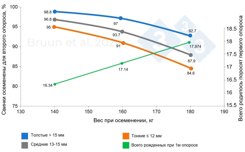 Взаимосвязь между массой и толщиной шпика у свиноматки при первом осеменении и её последующей продуктивной жизнью и долголетием. Бруун и др. (2020): Отчёт об исследовании № 1206, SEGES Innovation
