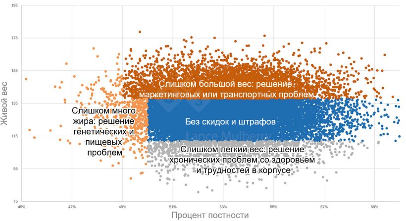 Рисунок 1: Данные о забое в сочетании с другими данными, такими как питание, состояние здоровья, племенное поголовье и т. д., могут помочь выявить причины вариаций, а также определить действенные шаги для их устранения.