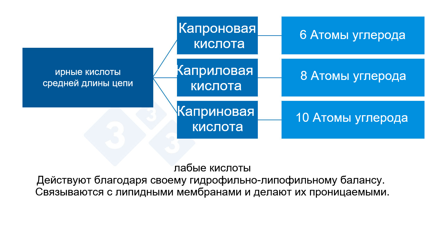 Medium-chain organic acids.