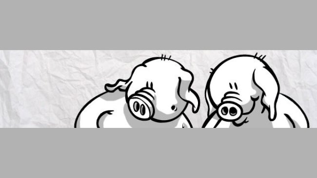 Tattooing pigs