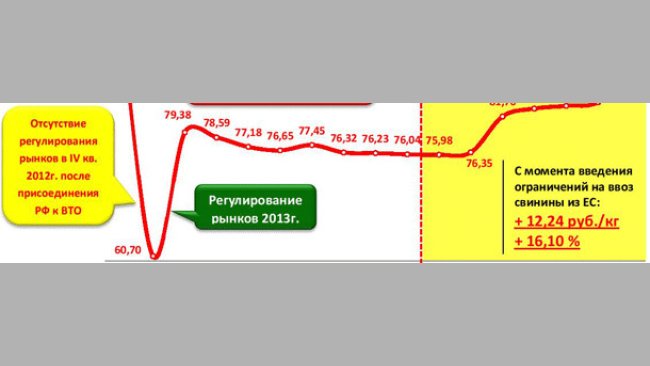 Зафиксирован рост цен на живых свиней и свинину от 2