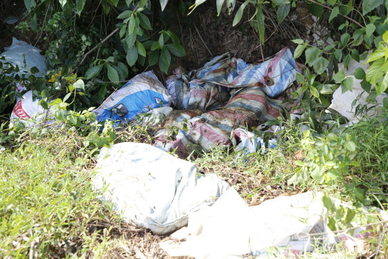 Xác heo chết được gói sơ sài trong bao tải vứt ngoài đồng.