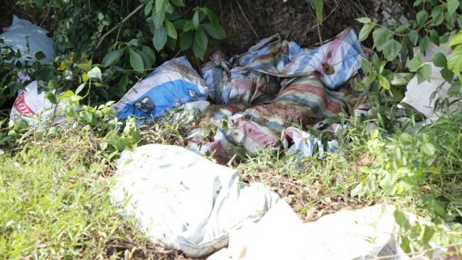 Xác heo chết được gói sơ sài trong bao tải vứt ngoài đồng.