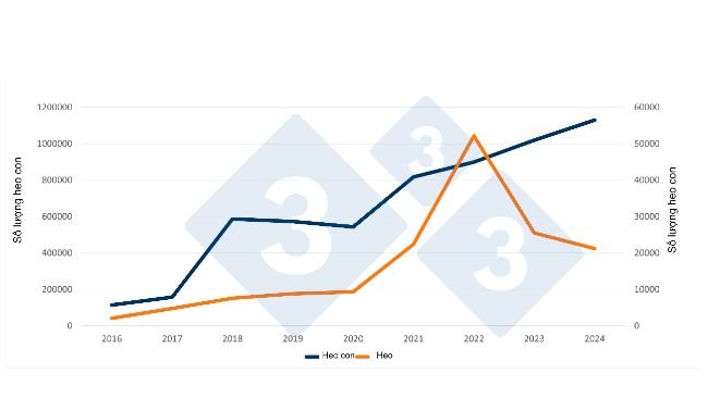 Nhập khẩu heo con và heo từ Hà Lan vào Tây Ban Nha trong 6 tháng đầu năm 2016 đến năm 2024. Nguồn: 333 dựa trên dữ liệu RVO. 