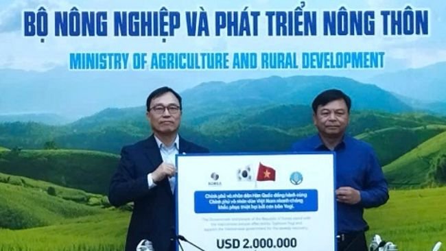 Ngày 18/9/204, Đại sứ Hàn Quốc tại Việt Nam Choi Youngsam, đại diện Chính phủ và nhân dân Hàn Quốc trao 2 triệu USD hỗ trợ Việt Nam khắc phục bão Yagi.