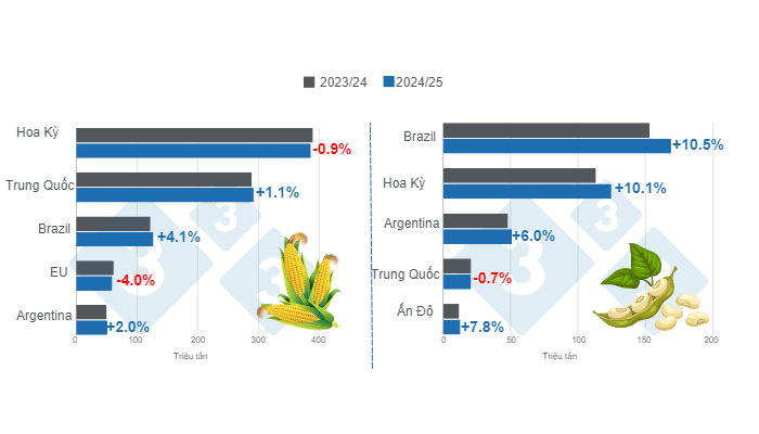 Dự b&aacute;o cho c&aacute;c nh&agrave; sản xuất ng&ocirc; v&agrave; đậu n&agrave;nh ch&iacute;nh tr&ecirc;n thế giới - ni&ecirc;n vụ 2024/25 so với ni&ecirc;n vụ 2023/24 - cập nhật lần cuối: ng&agrave;y 11&nbsp;th&aacute;ng 10&nbsp;năm 2024. Chuẩn bị bởi 333 Mỹ Latin với dữ liệu từ FAS - USDA.
