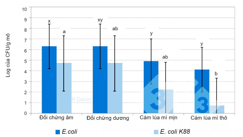 H&igrave;nh 1. Tổng số E. coli v&agrave; E. coli K88 cụ thể gắn v&agrave;o ni&ecirc;m mạc hồi tr&agrave;ng của heo con sau cai sữa sau khi nhiễm E. coli K88 (phỏng theo Molist v&agrave; cộng sự, 2011). x, y C&aacute;c chỉ số tr&ecirc;n kh&aacute;c nhau trong một cột cho thấy sự kh&aacute;c biệt đ&aacute;ng kể giữa c&aacute;c chế độ ăn (P &lt;0,05). ab C&aacute;c chỉ số tr&ecirc;n kh&aacute;c nhau trong một cột cho thấy sự kh&aacute;c biệt đ&aacute;ng kể giữa c&aacute;c chế độ ăn uống (P &lt;0,05).
