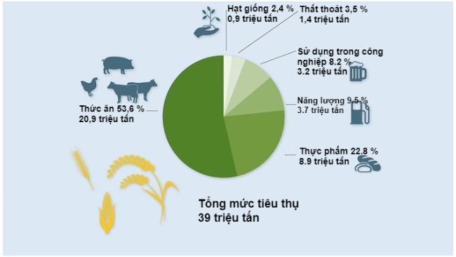 Sử dụng ngũ cốc trong năm 2021/22. Dữ liệu sơ bộ. Nguồn: BLE 