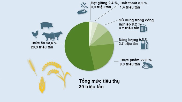 Sử dụng ngũ cốc trong năm 2021/22. Dữ liệu sơ bộ. Nguồn: BLE&nbsp;
