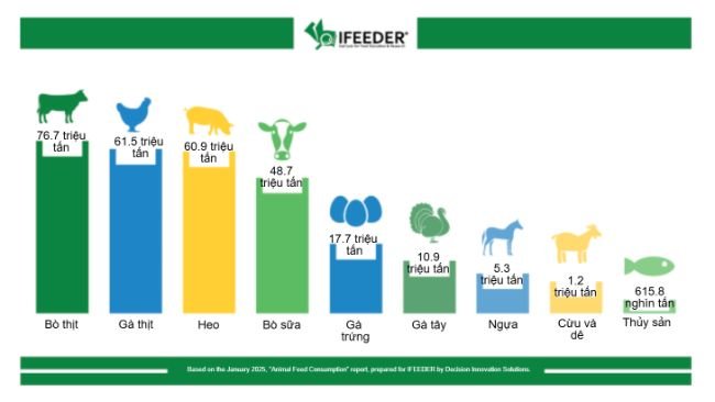 Lượng thức ăn chăn nuôi, gia cầm và nuôi trồng thủy sản của Hoa Kỳ theo từng nhóm trong năm 2023. Nguồn: IFEEDER.