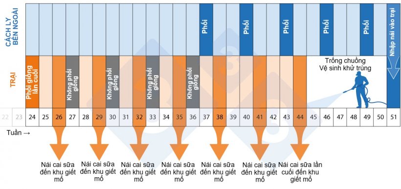 Hình 2. Dòng thời gian của chương trình giảm-đàn-tái-đàn
