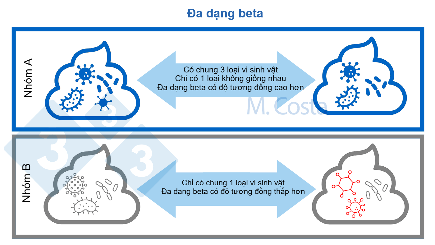 <p>H&igrave;nh 3. Hiểu về sự thay đổi th&agrave;nh phần vi sinh vật giữa c&aacute;c mẫu (đa dạng beta). Một quần thể vi sinh vật giống nhau nhiều hơn c&oacute; c&ugrave;ng nhiều loại vi khuẩn hơn giữa c&aacute;c mẫu. Th&ocirc;ng thường, c&aacute;c kh&iacute;a cạnh kh&aacute;c (chẳng hạn như mối quan hệ di truyền giữa c&aacute;c vi khuẩn) được x&eacute;t đến khi t&iacute;nh chỉ số đa dạng beta</p>
