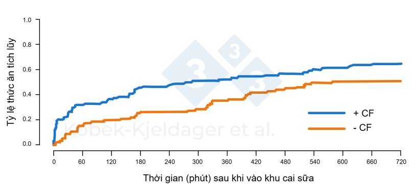 H&igrave;nh 2. Tỷ lệ t&iacute;ch lũy heo con bắt đầu ăn sau khi chuyển v&agrave;o chuồng cai sữa, t&ugrave;y thuộc v&agrave;o việc ch&uacute;ng c&oacute; được cho ăn tập ăn (+ CF) hay kh&ocirc;ng (- CF) trong giai đoạn theo mẹ. H&igrave;nh ảnh được chuyển bi&ecirc;n từ Kobek-Kjeldager v&agrave; cs., 2021.
