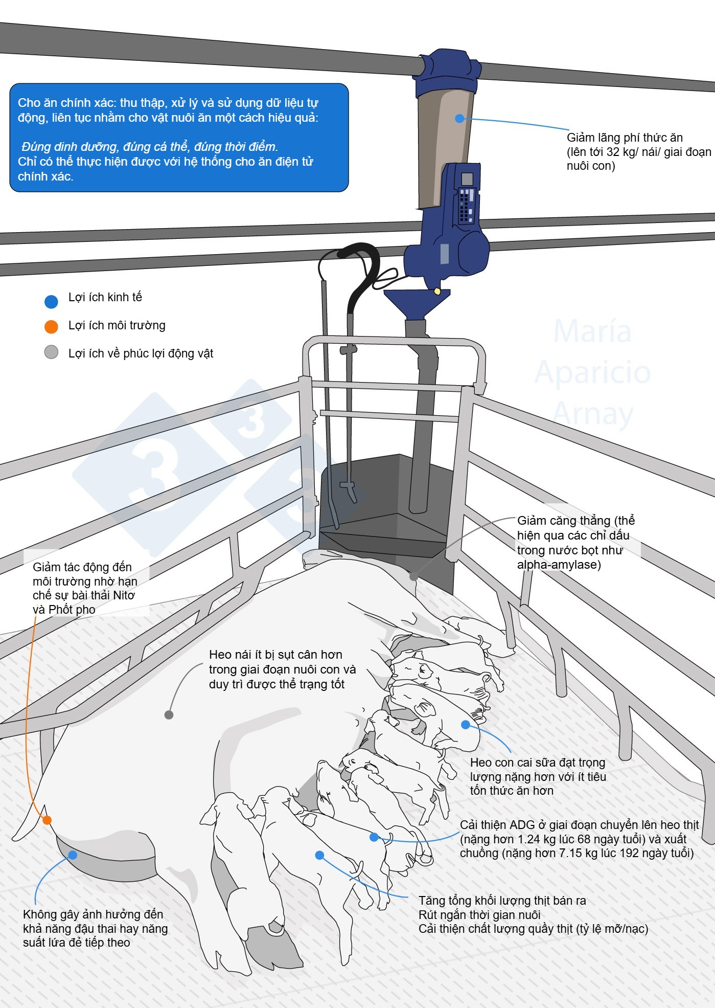 Benefits of electronic feeding of sows