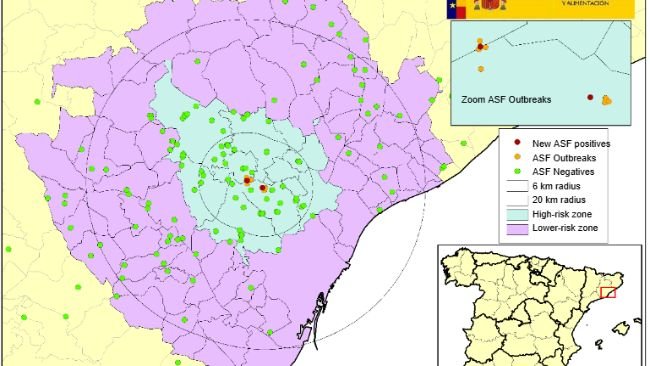 Location of the 9 outbreaks in wild boars and the negative dead boars found in Catalonia (Source: MAPA).