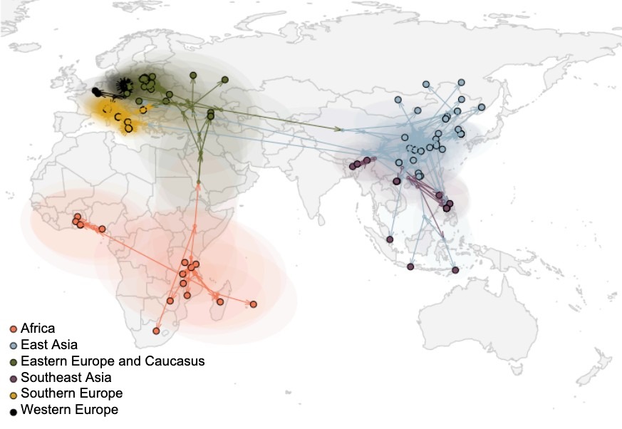 Global spread of the ASF virus