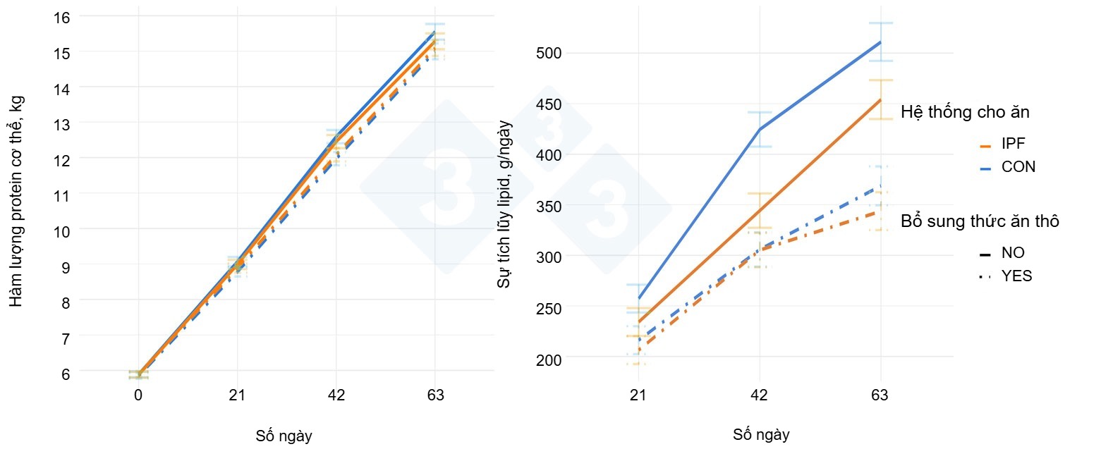 Body protein content and lipid deposition according to the inclusion of Phleum pratens