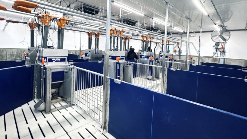 Ảnh 2. Sự phát triển của hệ thống cho ăn chính xác theo cá thể giúp tối ưu hóa chế độ dinh dưỡng theo từng cá thể heo.