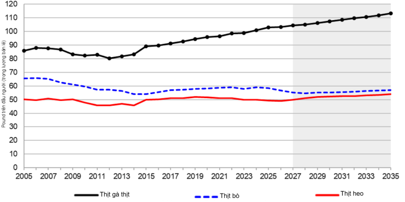 Mức ti&ecirc;u thụ thịt b&igrave;nh qu&acirc;n đầu người tại Hoa Kỳ, giai đoạn 2005-2035. Nguồn: USDA.
