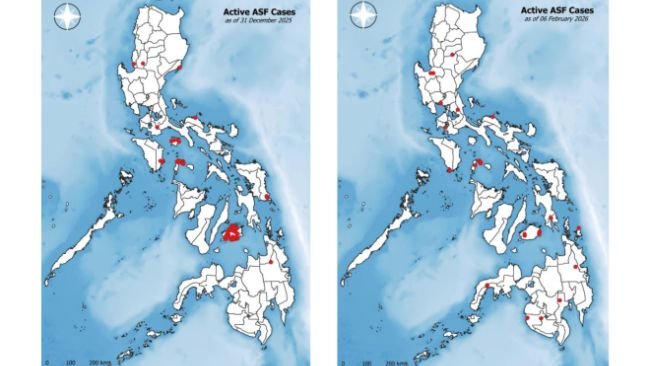 Active African swine fever cases in the Philippines as of February 6, 2026 (left) compared to December 31, 2025 (right). Source: BAI.