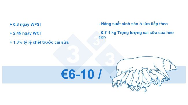 H&igrave;nh 4. Tỷ lệ hao hụt tr&ecirc;n mỗi heo n&aacute;i (dữ liệu nội bộ)
