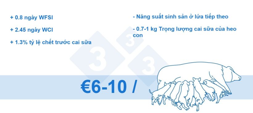 H&igrave;nh 4. Tỷ lệ hao hụt tr&ecirc;n mỗi heo n&aacute;i (dữ liệu nội bộ)
