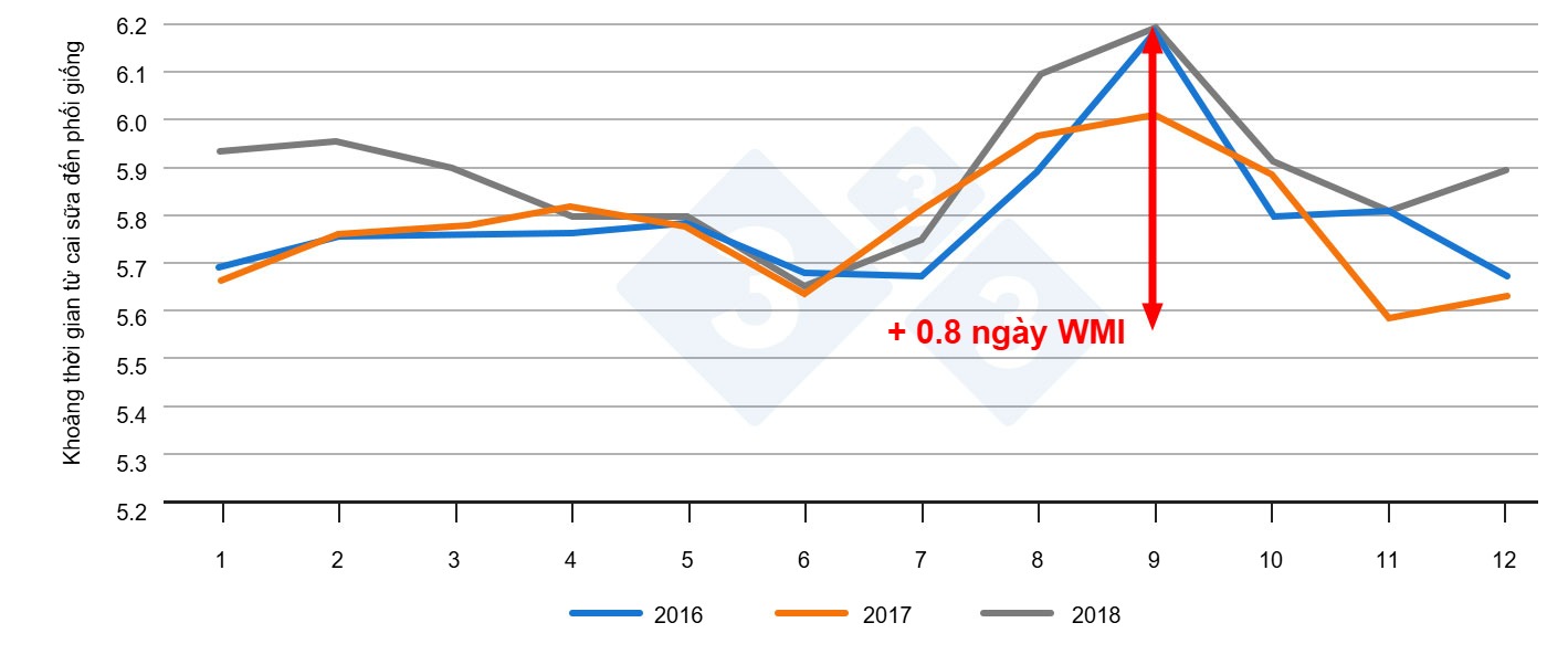 Weaning-to-mating interval by month of the year