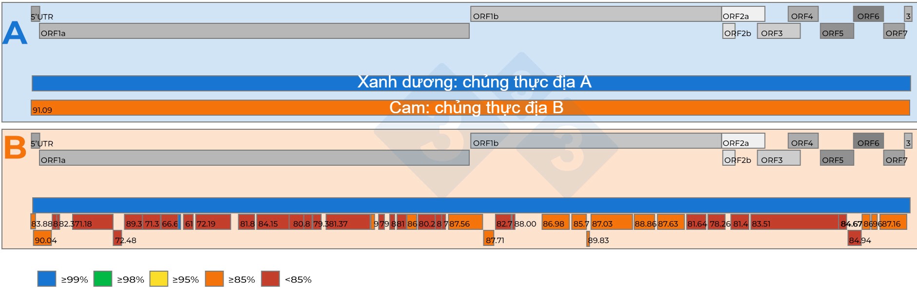 Schematic representation of a comparison of two whole PRRSV genomic sequences