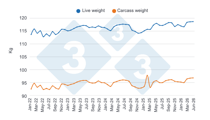 Monthly evolution of Colombia\s average live and carcass weights for pigs over the last 4 years and the first half of 2026
