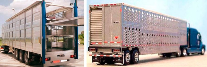 H&igrave;nh 3. Xe chở heo ở Ch&acirc;u &Acirc;u. Nguồn: NEWNION v&agrave; H&igrave;nh 4. Xe chở heo ở Bắc Mỹ. Nguồn: Illinois Truck Enforcement Association

