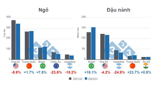 Biểu đồ 1. Dự báo cho các nhà sản xuất ngô và đậu nành chính trên thế giới - niên vụ 2022/23. Chuẩn bị bởi 333 Mỹ Latin với dữ liệu từ FAS - USDA.