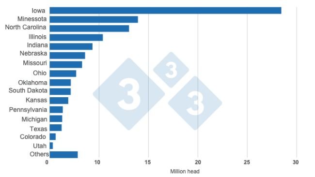 Biểu đồ 1. Kiểm kê đàn heo của Hoa Kỳ theo tiểu bang kể từ 1/3/2023. Do 333 Châu Mỹ Latinh chuẩn bị với dữ liệu từ USDA - NASS. 