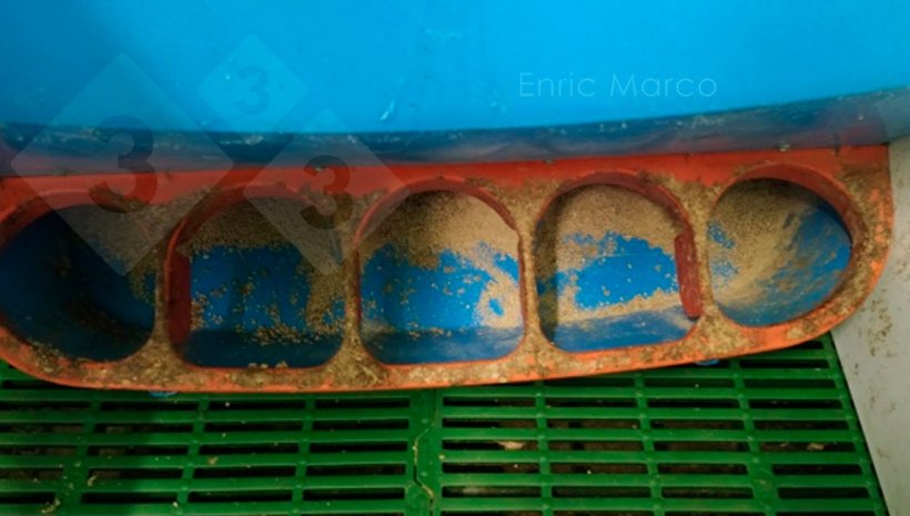 Photo 1. Feeder properly regulated.
