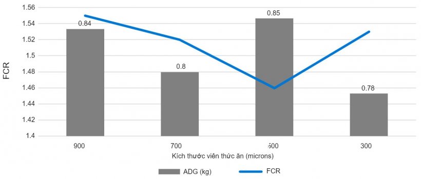 Biểu đồ 2. Ảnh hưởng của k&iacute;ch thước hạt (micron) đến tốc độ tăng trưởng v&agrave; chuyển h&oacute;a thức ăn trong giai đoạn sau cai sữa.
