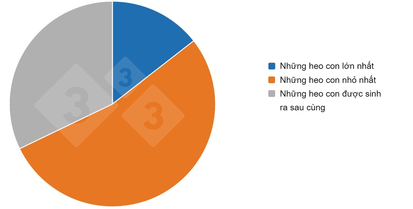 Results of the 333 survey on split suckling