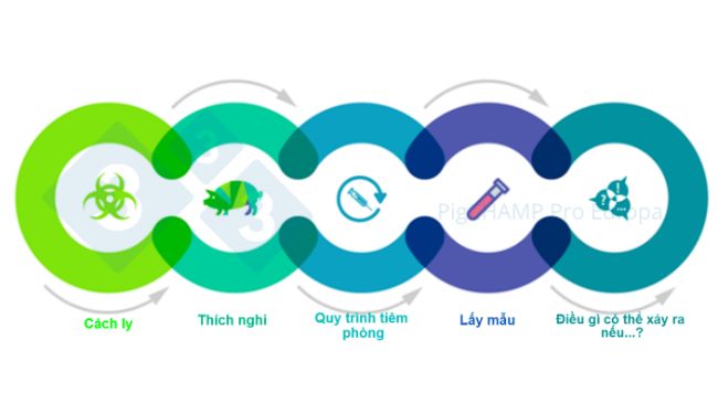 H&igrave;nh 1. C&aacute;c kh&iacute;a cạnh quan trọng li&ecirc;n kết với nhau cần được hiểu trước chuyến thăm.&nbsp;
