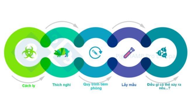 Hình 1. Các khía cạnh quan trọng liên kết với nhau cần được hiểu trước chuyến thăm. 