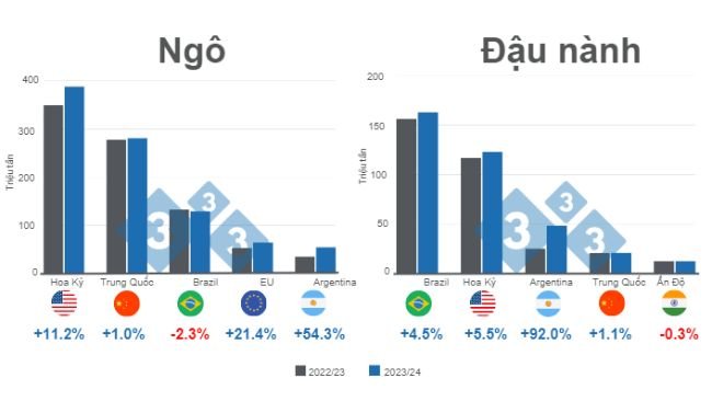 Biểu đồ 1. Dự báo cho các nhà sản xuất ngô và đậu nành chính trên thế giới - niên vụ 2023/24. Chuẩn bị bởi 333 Mỹ Latin với dữ liệu từ FAS - USDA.