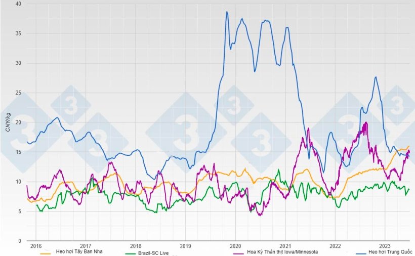Diễn biến giá heo hơi và thân thịt tính theo CNY/kg tại các nhà cung cấp thịt heo chính cho Trung Quốc. 
