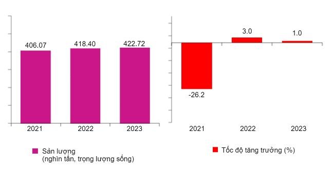 Hình 1. Sản lượng và tốc độ tăng trưởng của ngành chăn nuôi heo hàng năm ở Philippines: Từ tháng 4 đến tháng 6/2021 – 2023 (sơ bộ). Nguồn: Cơ quan Thống kê Philippine, Cuộc khảo sát Chăn nuôi Heo và Gà hộ gia đình (BLPS), và Cuộc khảo sát Chăn nuôi Heo và Gà thương phẩm (CLPS)