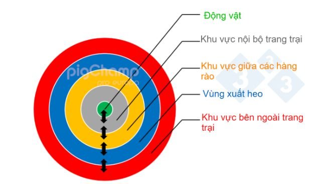Hình 1. Sơ đồ thể hiện an toàn sinh học trong trang trại được tổ chức theo các vòng.