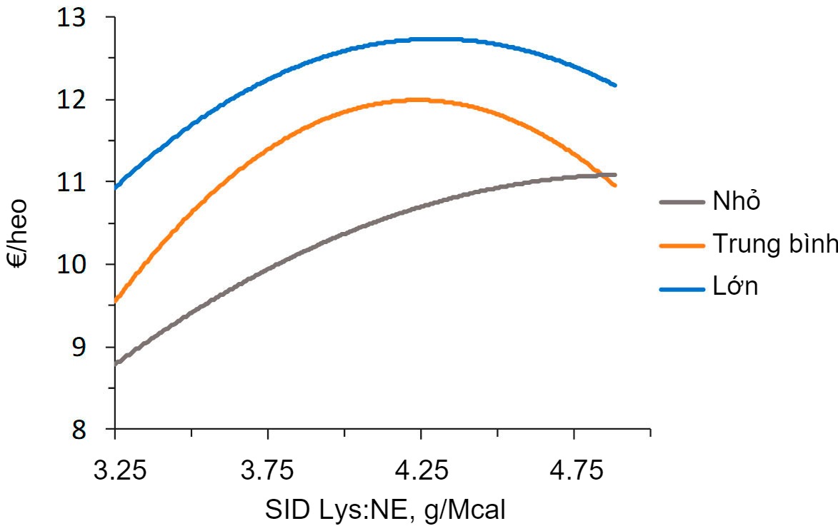 Economic modeling of the effect of lysine:energy ratio in finishing pigs.