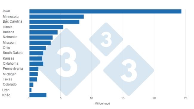 Biểu đồ 1. Số đàn heo của Hoa Kỳ theo tiểu bang tính đến ngày 1/9/2023. Được chuẩn bị bởi 333 Châu Mỹ Latinh với dữ liệu từ USDA - NASS.