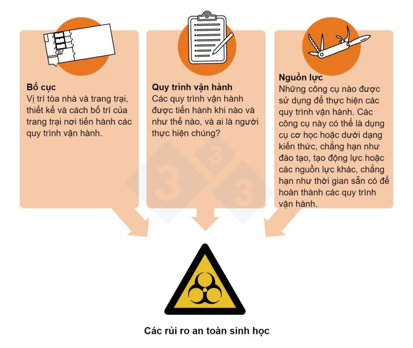 Hình 2. Các rủi ro an toàn sinh học và các điểm kiểm soát quan trọng: Các khía cạnh của quy trình sản xuất có thể thực hiện các biện pháp kiểm soát an toàn sinh học.
