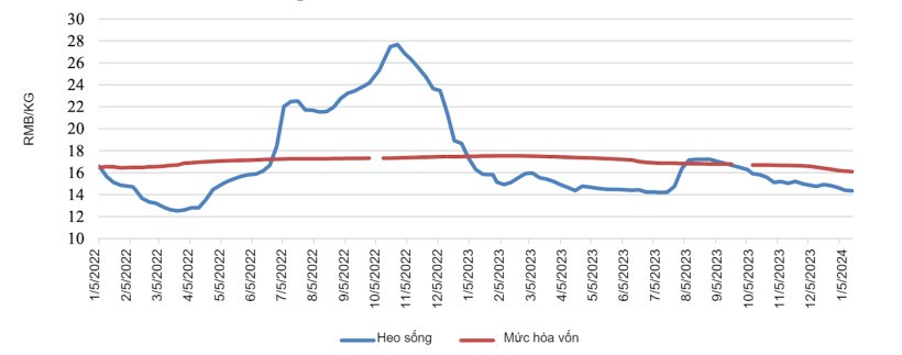 Giá heo hơi trung bình toàn quốc ở Trung Quốc. “Mức hòa vốn” đề cập đến chi phí ước tính từ khi đẻ đến khi xuất chuồng. Nguồn: MARA và các nguồn trong ngành. 