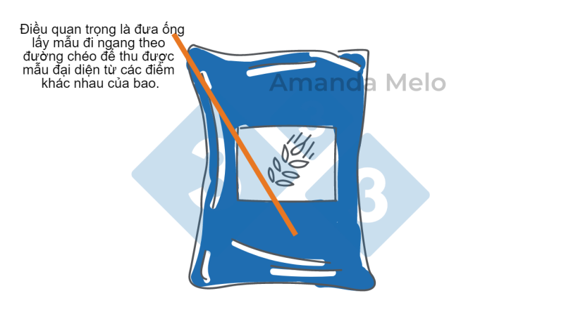 Hình 3. Sơ đồ lấy mẫu từ bao bằng ống lấy mẫu ngắn.