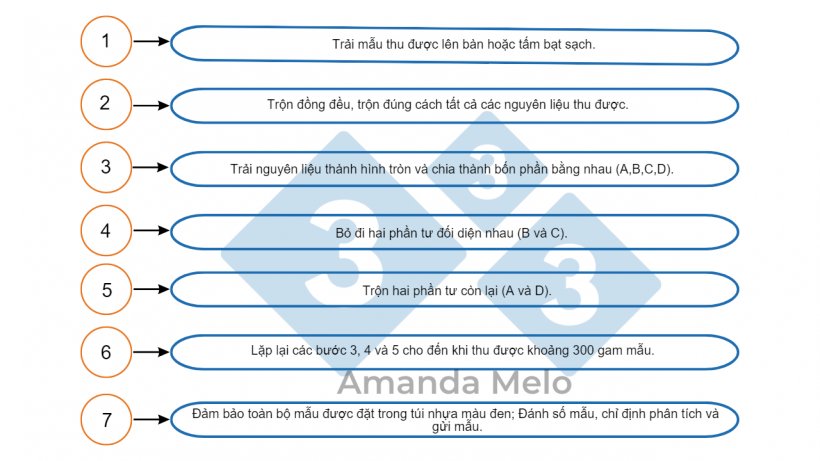 H&igrave;nh 4: C&aacute;c bước chia một phần tư mẫu.
